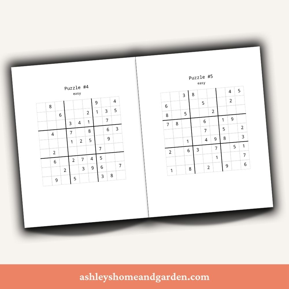 Open Large Print Easy Sudoku Puzzle Book
