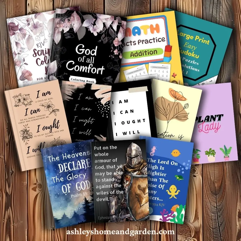 A display of books available on Amazon by Ashley Marie