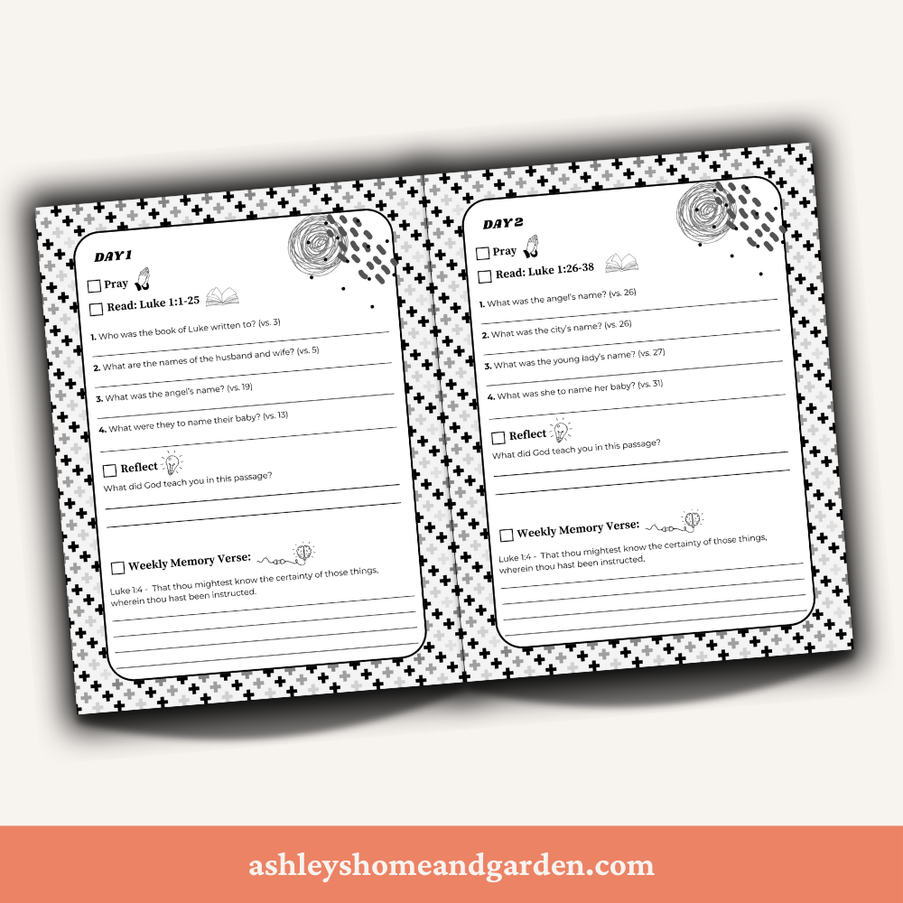 The Gospel in Focus open book