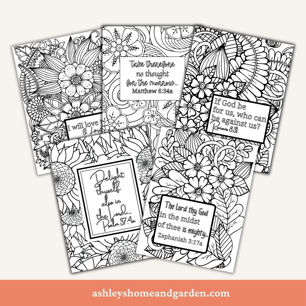 Floral and pattern designed coloring pages with King James Bible verses