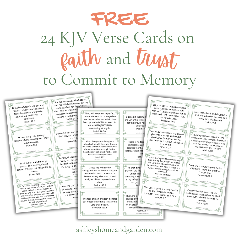 Free 24 KJV Verse Cards on Faith and Trust to commit to memory